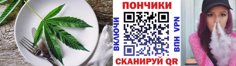 мега tor  дарнет шоп  Гудермес  Печенье с ТГК марихуана 