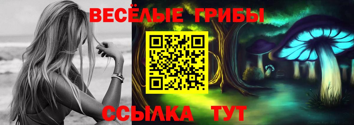 Галлюциногенные грибы Cubensis Гудермес
